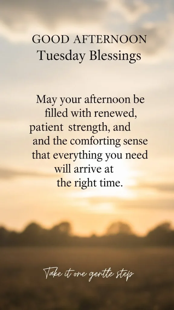 Good Afternoon Tuesday Blessings